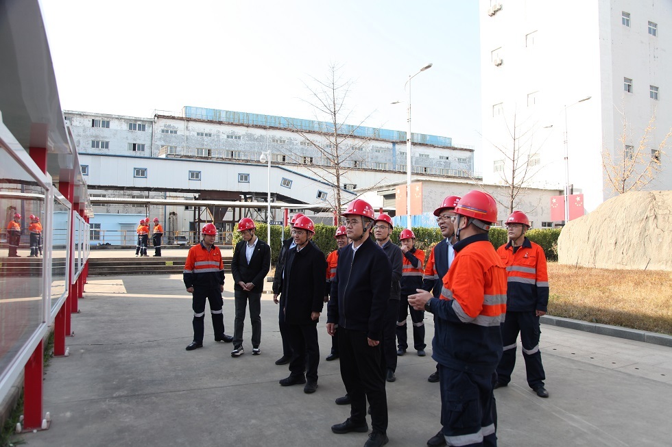 W020251114745616255443